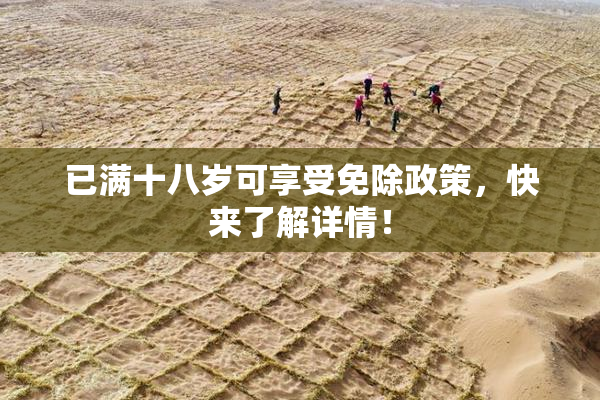 已满十八岁可享受免除政策，快来了解详情！