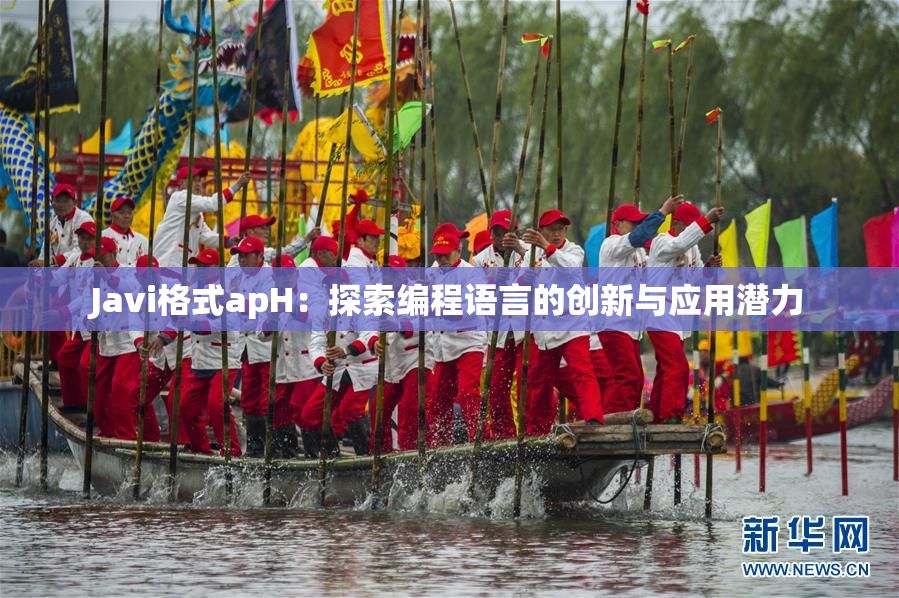 Javi格式apH：探索编程语言的创新与应用潜力
