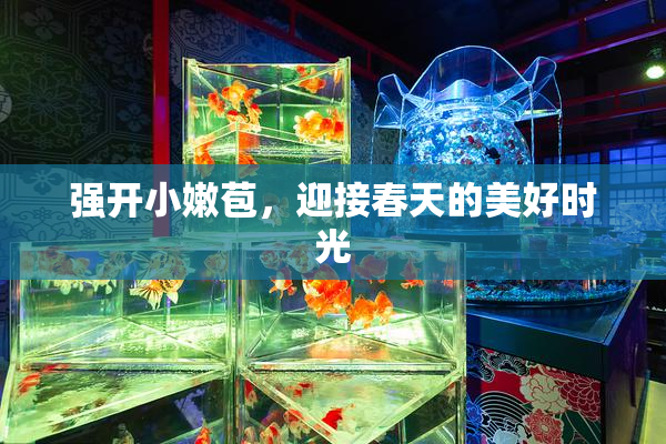 强开小嫩苞，迎接春天的美好时光