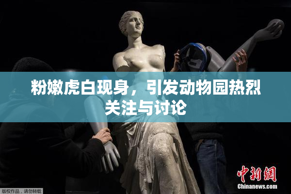 粉嫩虎白现身，引发动物园热烈关注与讨论