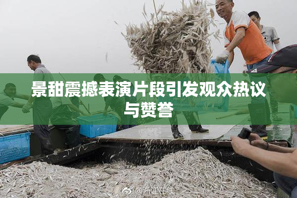 景甜震撼表演片段引发观众热议与赞誉