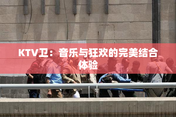 KTV卫：音乐与狂欢的完美结合体验