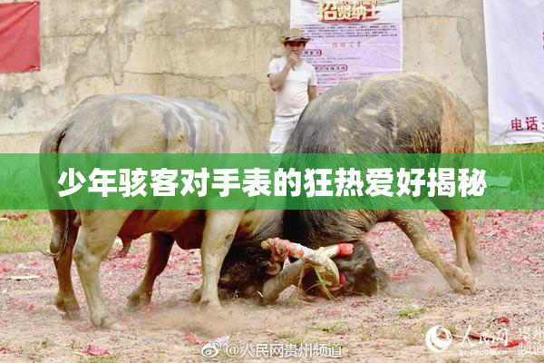 少年骇客对手表的狂热爱好揭秘