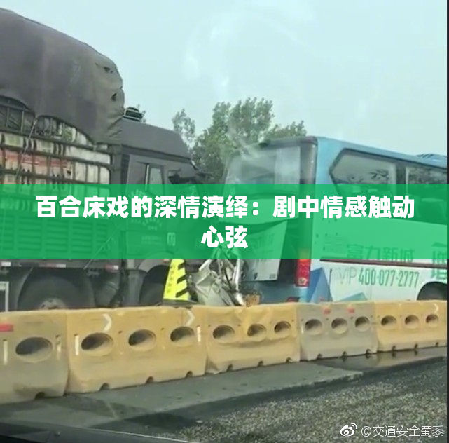 百合床戏的深情演绎：剧中情感触动心弦