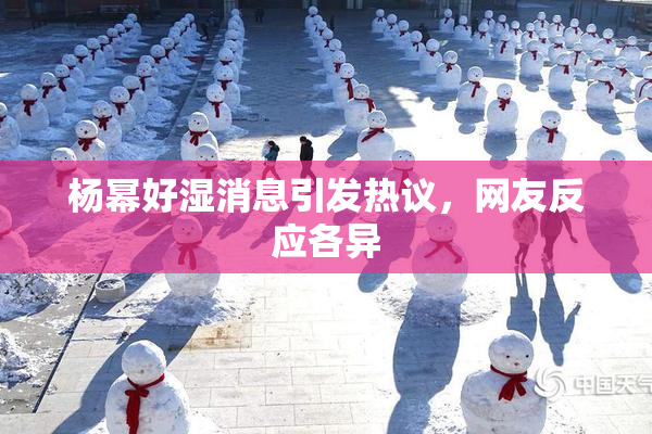 杨幂好湿消息引发热议，网友反应各异