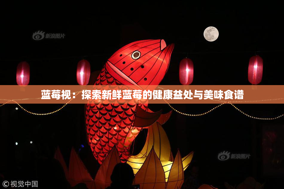蓝莓视：探索新鲜蓝莓的健康益处与美味食谱