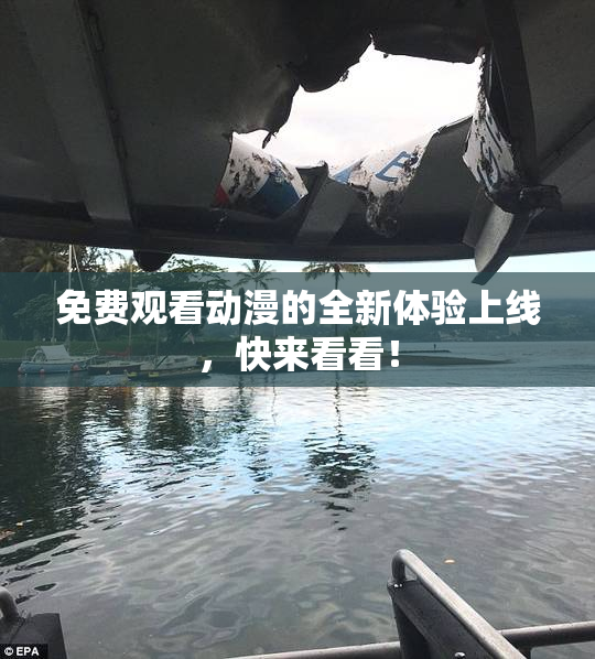 免费观看动漫的全新体验上线，快来看看！