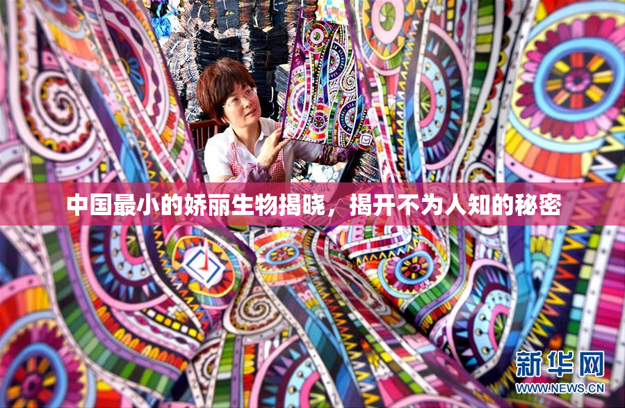 中国最小的娇丽生物揭晓，揭开不为人知的秘密