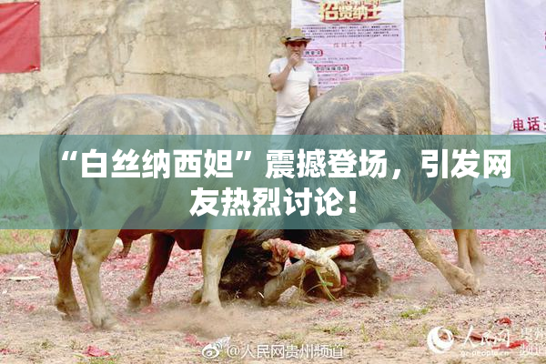 “白丝纳西妲”震撼登场，引发网友热烈讨论！