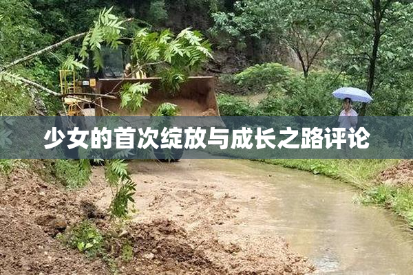 少女的首次绽放与成长之路评论
