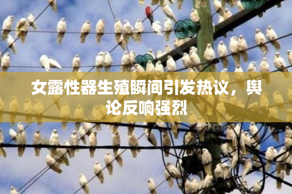 女露性器生殖瞬间引发热议，舆论反响强烈