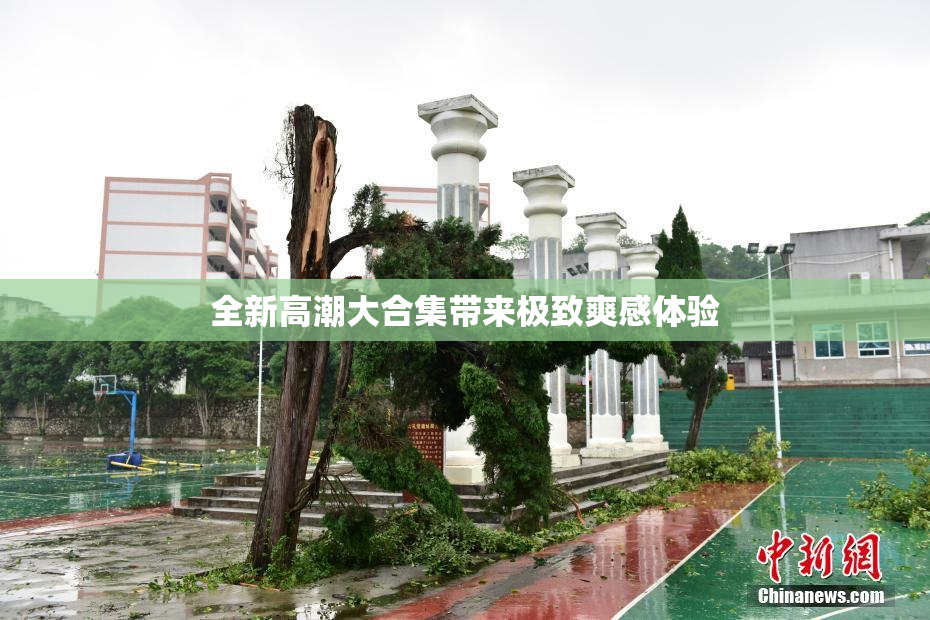 全新高潮大合集带来极致爽感体验