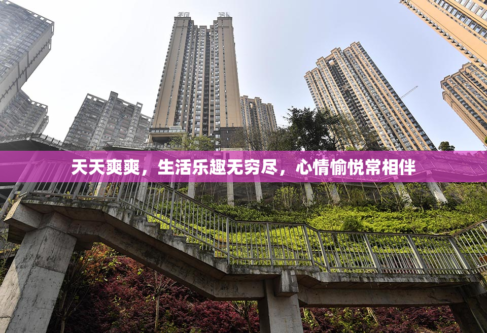 天天爽爽，生活乐趣无穷尽，心情愉悦常相伴