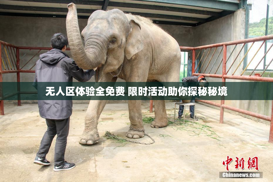 无人区体验全免费 限时活动助你探秘秘境