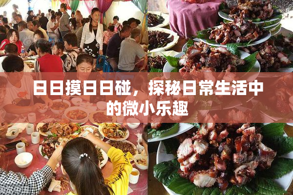 日日摸日日碰，探秘日常生活中的微小乐趣