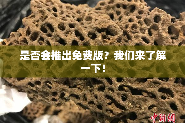 是否会推出免费版？我们来了解一下！