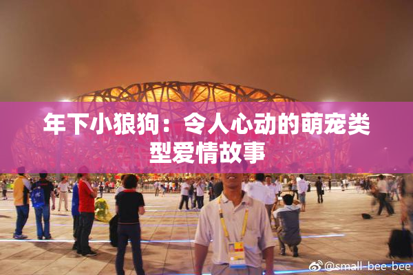 年下小狼狗：令人心动的萌宠类型爱情故事