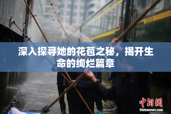 深入探寻她的花苞之秘，揭开生命的绚烂篇章