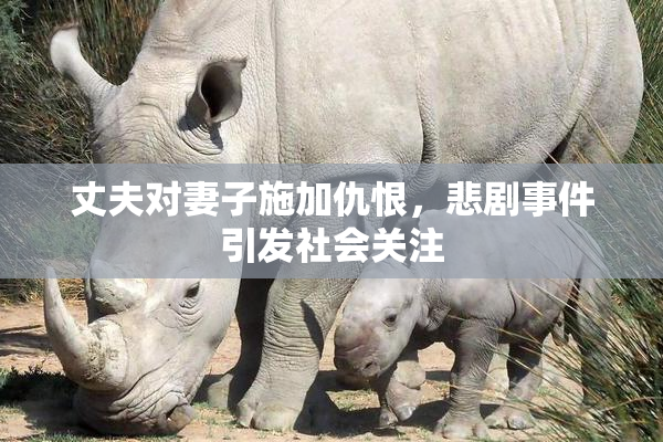 丈夫对妻子施加仇恨，悲剧事件引发社会关注