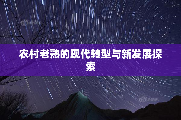 农村老熟的现代转型与新发展探索
