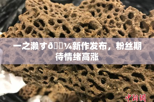一之濑す🌼新作发布，粉丝期待情绪高涨