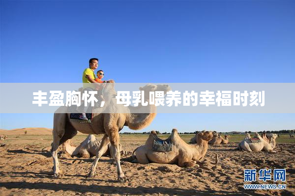 丰盈胸怀，母乳喂养的幸福时刻