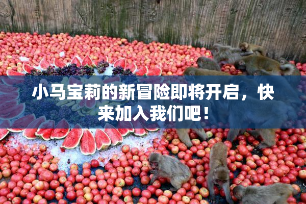小马宝莉的新冒险即将开启，快来加入我们吧！