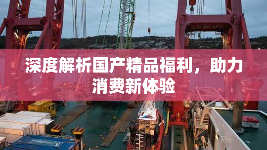 深度解析国产精品福利，助力消费新体验