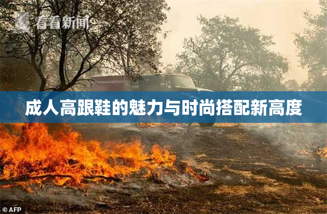 成人高跟鞋的魅力与时尚搭配新高度