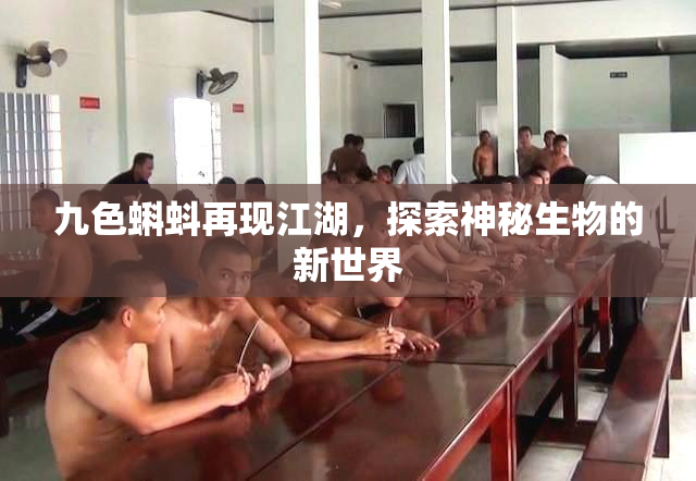 九色蝌蚪再现江湖，探索神秘生物的新世界