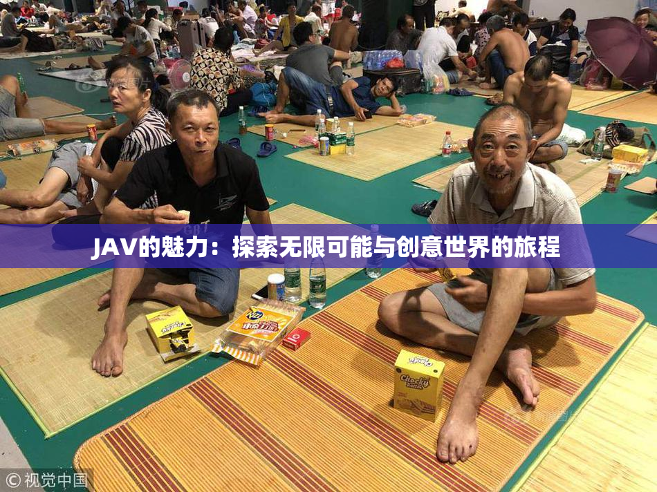JAV的魅力：探索无限可能与创意世界的旅程