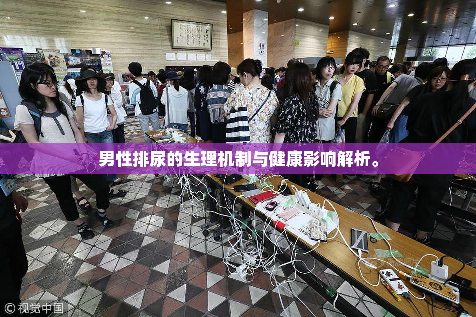 男性排尿的生理机制与健康影响解析。