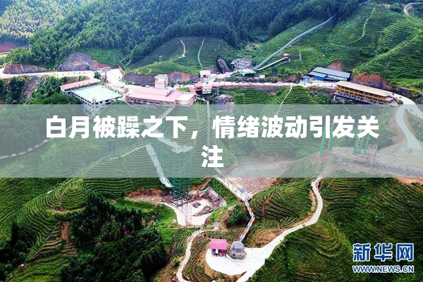 白月被躁之下，情绪波动引发关注