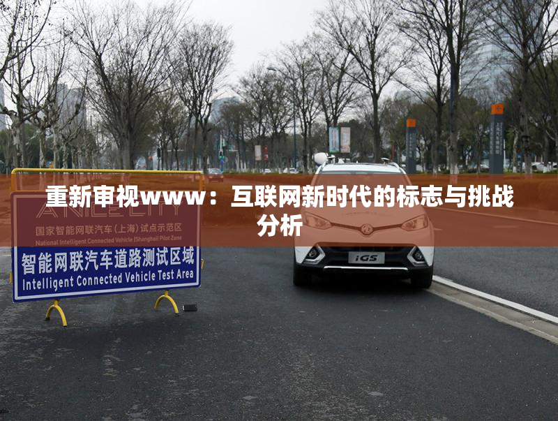 重新审视www：互联网新时代的标志与挑战分析