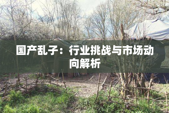 国产乱子：行业挑战与市场动向解析