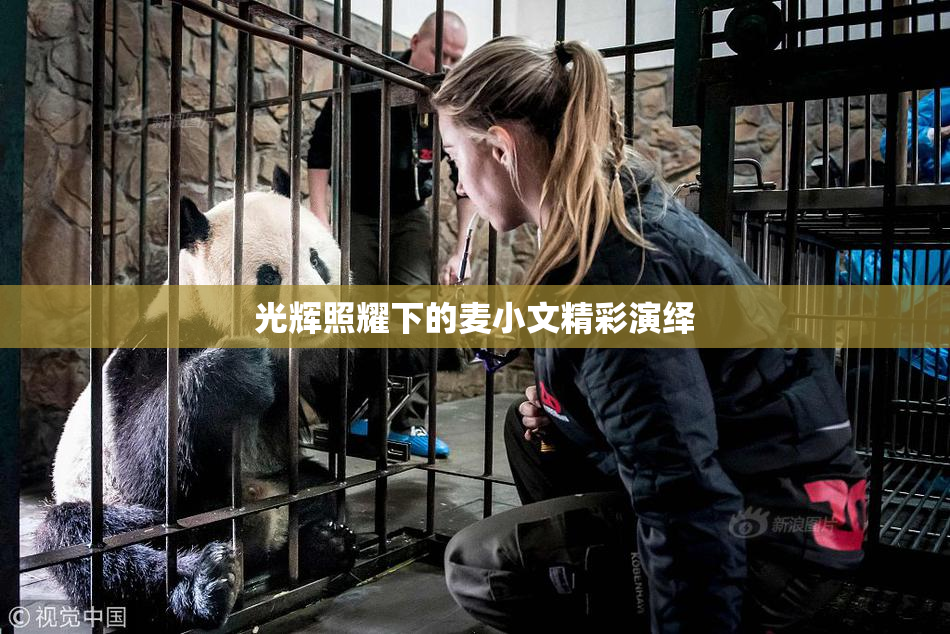 光辉照耀下的麦小文精彩演绎