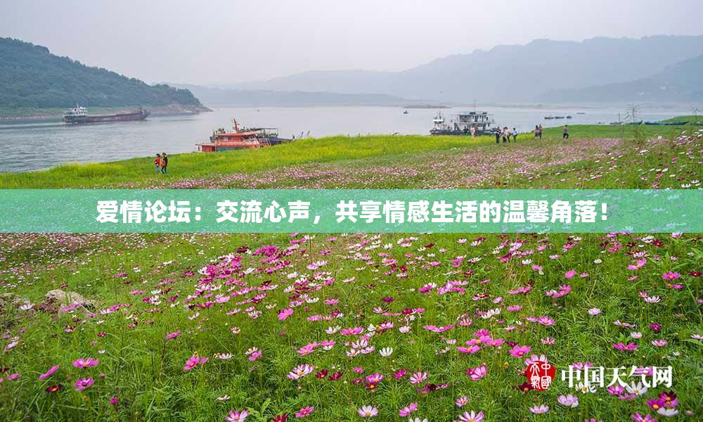 爱情论坛：交流心声，共享情感生活的温馨角落！