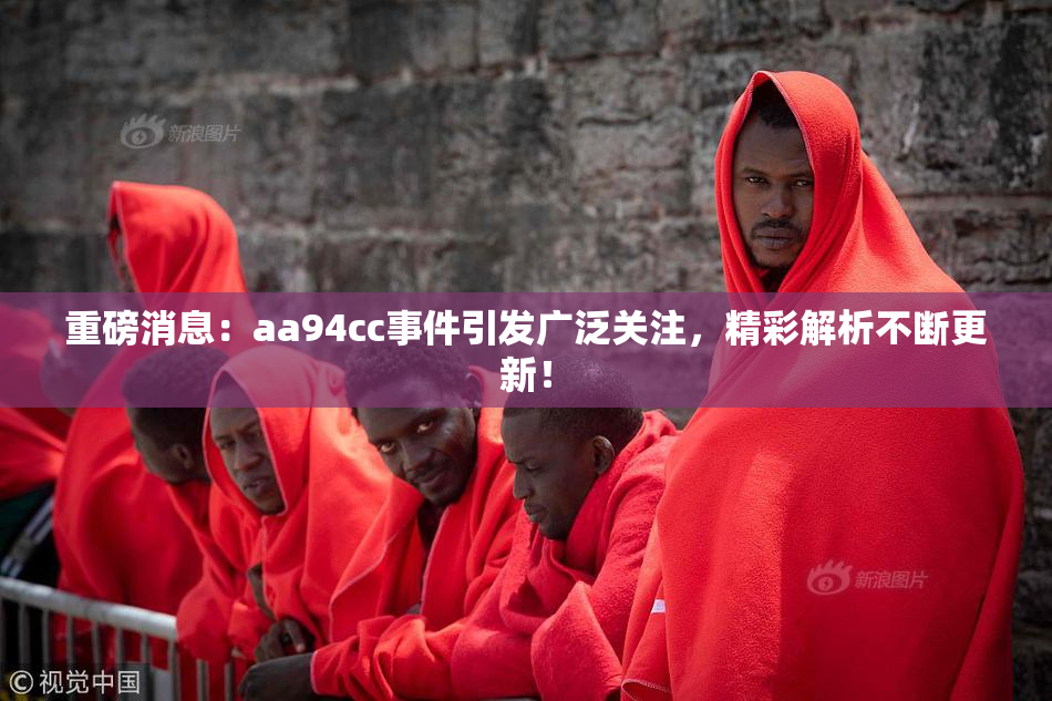 重磅消息：aa94cc事件引发广泛关注，精彩解析不断更新！