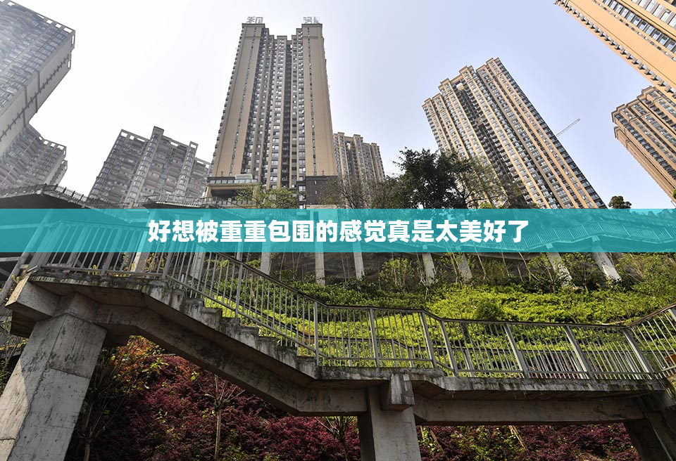 好想被重重包围的感觉真是太美好了
