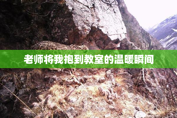 老师将我抱到教室的温暖瞬间