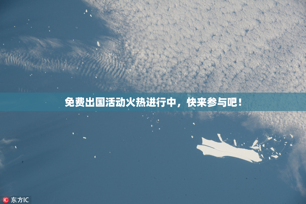 免费出国活动火热进行中，快来参与吧！