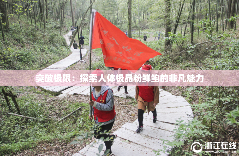 突破极限：探索人体极品粉鲜鲍的非凡魅力