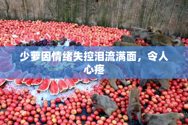 少萝因情绪失控泪流满面，令人心疼