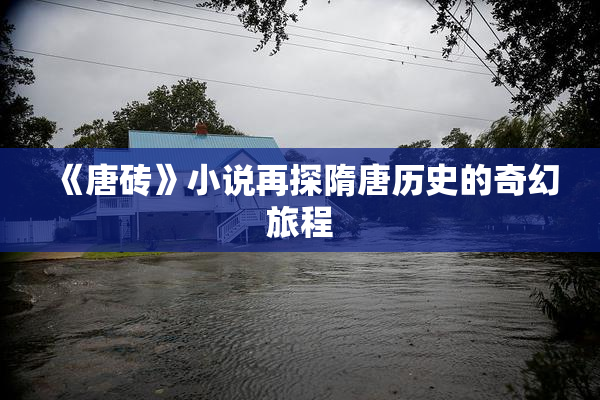 《唐砖》小说再探隋唐历史的奇幻旅程