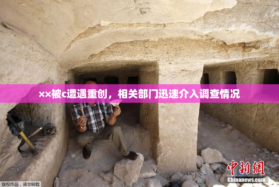 ××被c遭遇重创，相关部门迅速介入调查情况