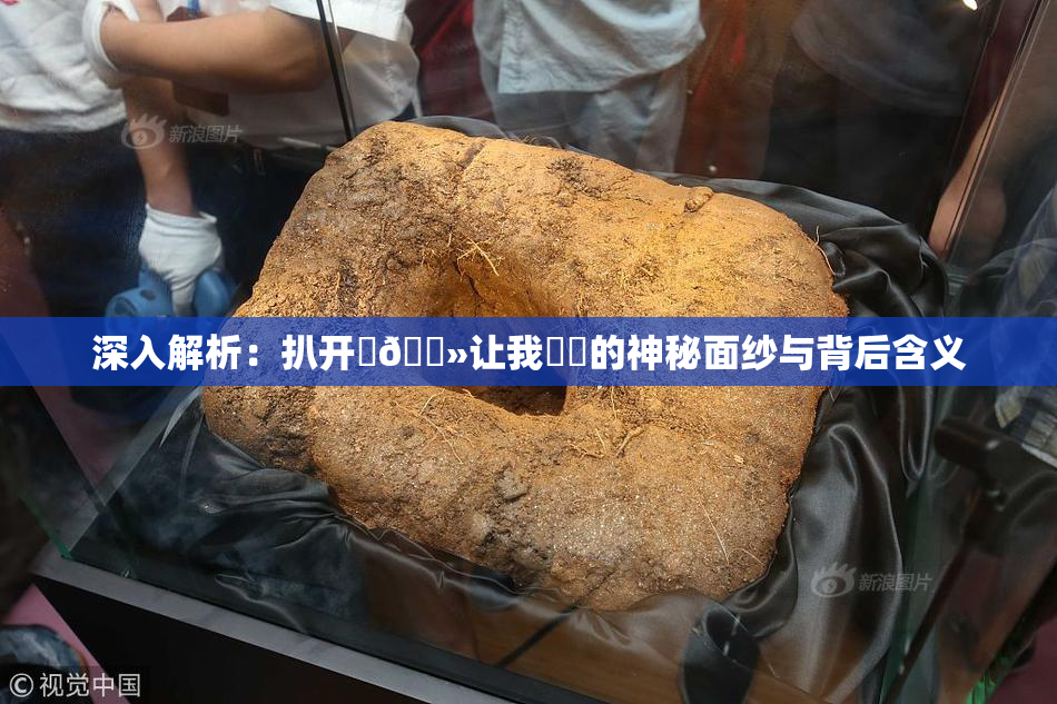 深入解析：扒开‌🐻让我❌‌的神秘面纱与背后含义