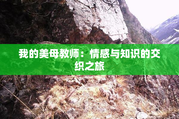 我的美母教师：情感与知识的交织之旅