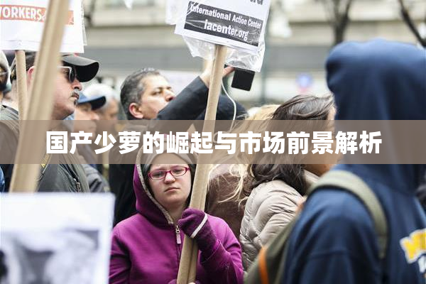 国产少萝的崛起与市场前景解析