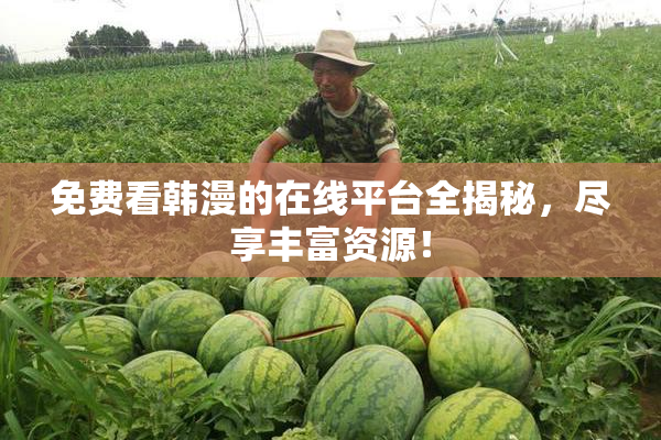 免费看韩漫的在线平台全揭秘，尽享丰富资源！