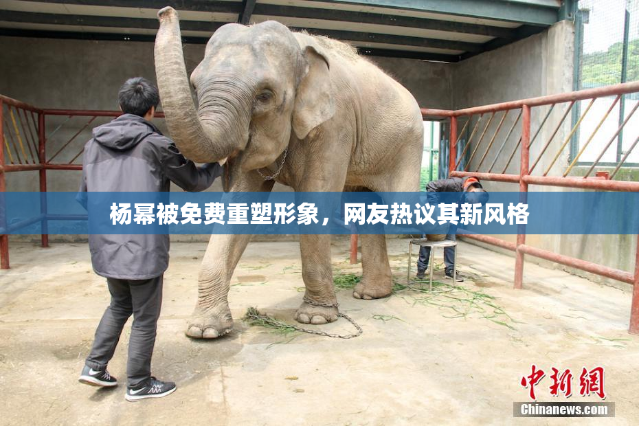 杨幂被免费重塑形象，网友热议其新风格